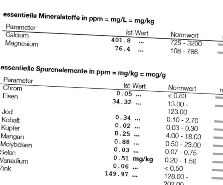 Auszug einer echten Haarmineral-Auswertung mit Ist-Werten und Normbereichen